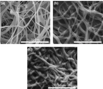 Fig. 6 The representative SEM images of poly(VBA- co-VBTAC)/