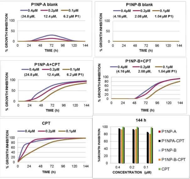 FIGURE 7 Real-time growth inhibitory effect of loaded and blank P1NPs with camptothecin on the human liver (Huh7) cancer cell line were determined by RT-CES