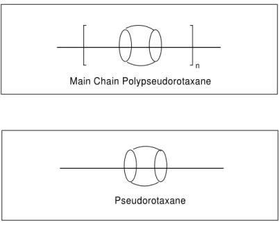 Fig. 1.2- Representations of Main Chain Polypseudorotaxane and Pseudorotaxane 
