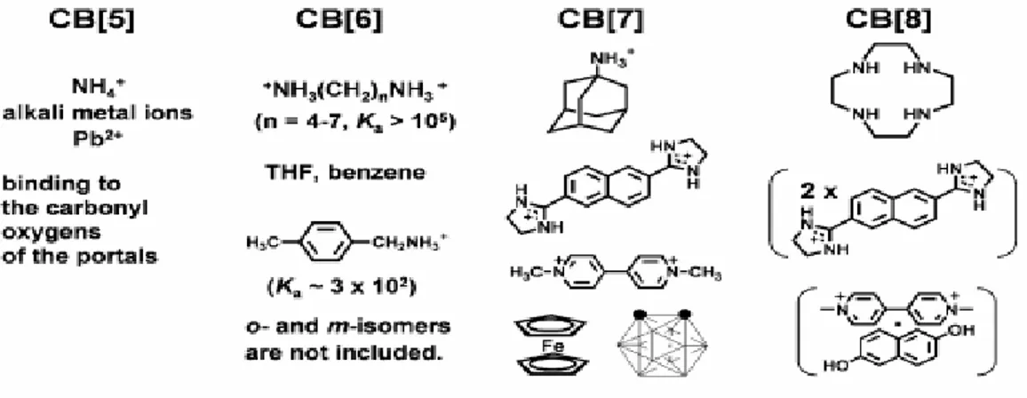 Fig. 1.7-Host-Guest Relations of CB Homologues 33 