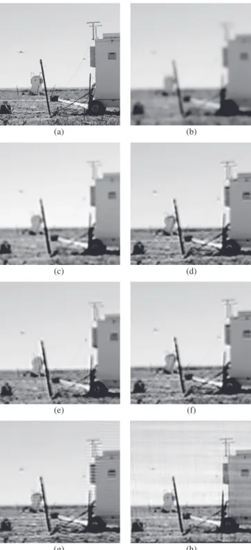 Fig. 6. (a) DAPI stained cell nuclei image (100X) from Huh7 cells with best possible focus: and (b) another image with slight out of focus 