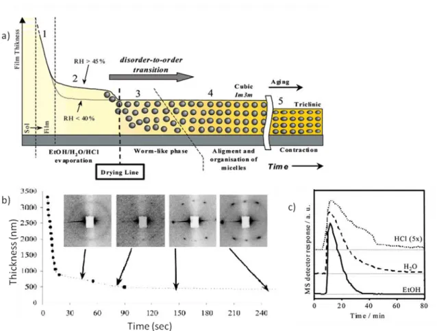 Figure  1.2 a)  Schematically  representing  the  stages  of  film  formation  by  the  EISA  method
