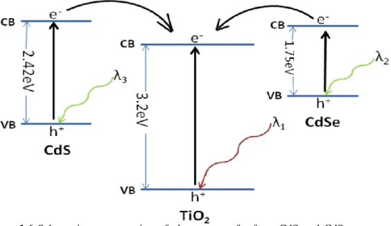 Figure  1.6  Schematic  representation  of  electron  transfer  from  CdS  and  CdSe  nanoparticles  to 