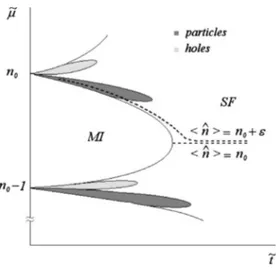 FIG. 3. Schematic phase diagram near the n 0 th Mott lobe. Dot- Dot-ted lines show the chemical potential as a function of hopping strength for systems with constant density 具nˆ典=n 0 and 具nˆ典=n 0 + ␧.