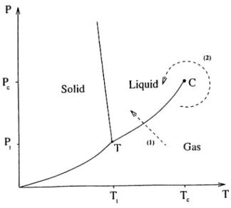 Figure  2.2:  Phase  diagrani  of  water.  T  is  the  tri]>le  ])oint  where  three  pluises  coexist  and  C  is  the  critical  i)oiiit