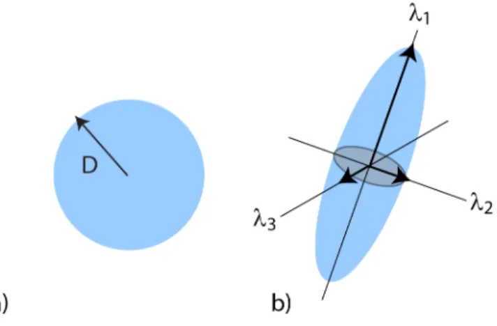Figure 2.2: a) DWI assumes that the molecules diuse isotropically with the rate of D at every direction