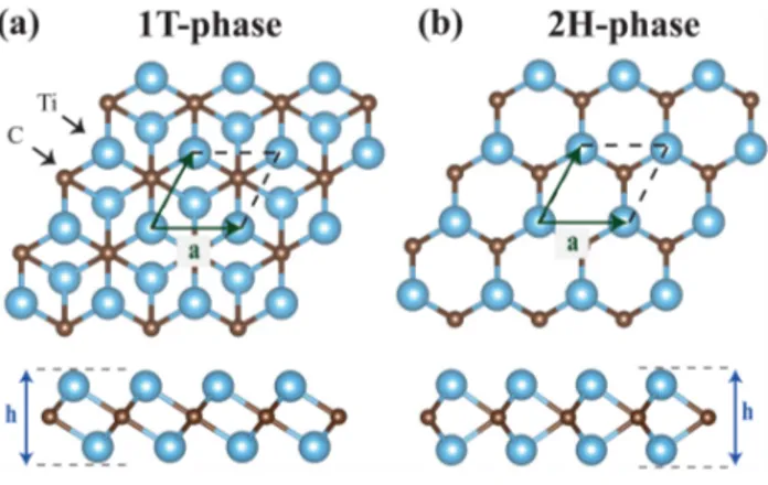 FIG. 1. Top and side views of (a) 1T- and (b) 2H-Ti 2 C monolayers. Ti and C atoms are represented with blue and brown spheres, respectively.
