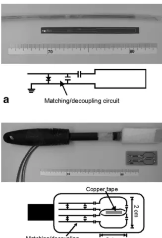 FIG. 1. Coil placement in a canine prostate, and approximate ana- ana-tomical dimensions.