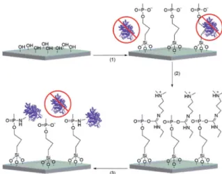 Fig. 1 Comparison of high resolution XPS scans of P2p, Si2p, O1s and C1s regions for the bare silica and THPMP coated silica surfaces