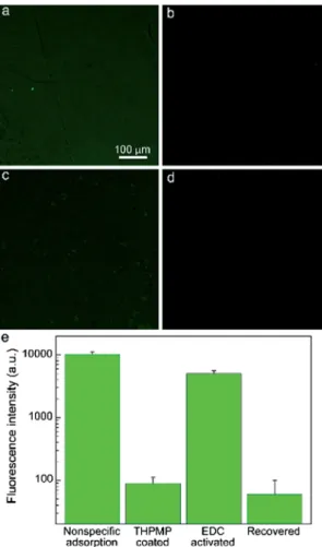Fig. 3 Nonspeci ﬁc adsorption of FITC-BSA over the piranha treated quartz surface (a) is almost diminished after THPMP coating (b).