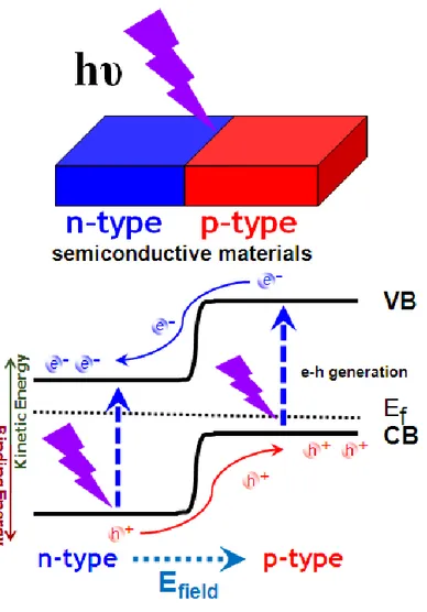 Figure 7. Photoinduced electron-hole generation and separation in between n- and p-type  semiconductor