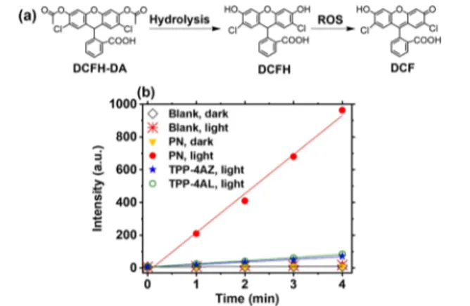 Figure 5b compares the time response curves of DCFH oxidation in the presence and absence of PN and TPP monomers under white light and in the dark