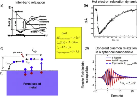 Figure 12 Review of relaxation mechanisms in plasmonic nanocrystals. (a) Inter-band relaxation of photogenerated carriers in gold