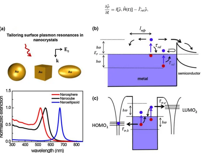 Figure 2 (a) Schematic illustration of gold nanocrystals and their absorption spectra in water