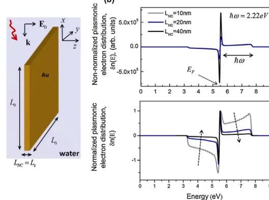 Figure 5 (a) Schematic illustration of a plasmonic Au slab in water driven by the electric ﬁeld of incident light