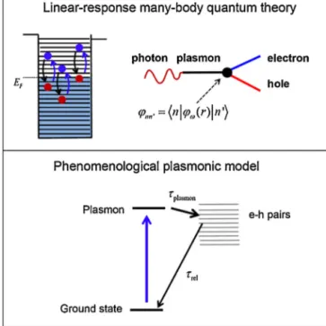 Figure 6 Illustrations of plasmonic processes within the linear-response and phenomenological models