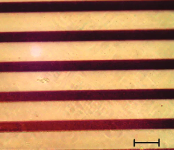 Figure 2. Raman Spectra recorded from different regions of the photopatterned film on a silicon wafer substrate: (a) substrate only and (b) after deposition of the film; after exposure to UV irradiation, (c) masked region and (d) exposed region