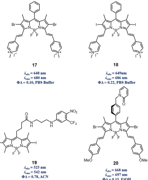 Fig. 6. BODIPY derivatives 17–20 for dual effective designs.