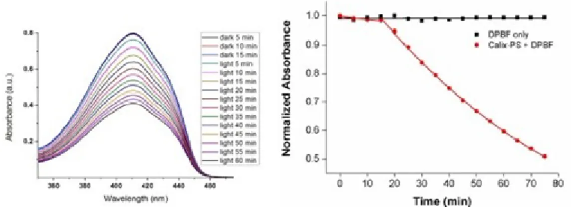Figure 21 Change in absorbance spectrum of DPBF in the absence of compound 10  and in the presence of compound 10 in IPA; first 15 min dark and then 60 min  irradiation with 725 nm LED array (above)
