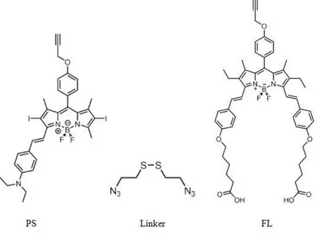 Figure 24. Molecular structures of PS, Linker and FL 