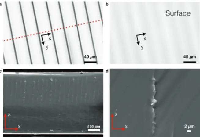 Fig. 1 Microscope images of the silicon sample after laser process- process-ing. The laser propagates along the z-axis in all images and processes undoped (15 k Ω.cm) Si