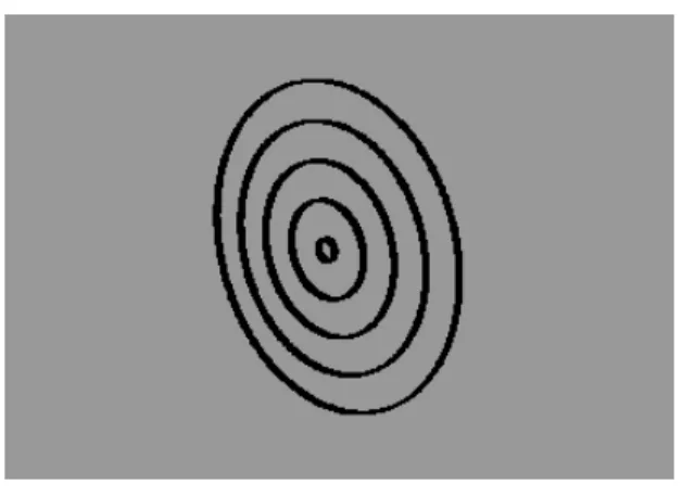 Figure 3.1: Layers of Wood Model