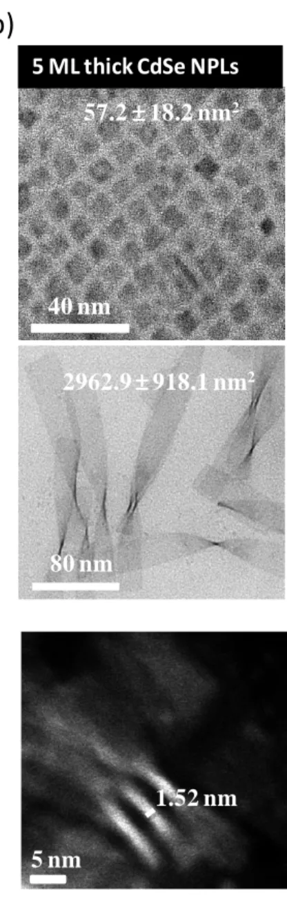 Figure 2.5. TEM images of (a) 4ML and (b) 5ML NPLs with both the small and large  lateral sizes, and their corresponding thicknesses