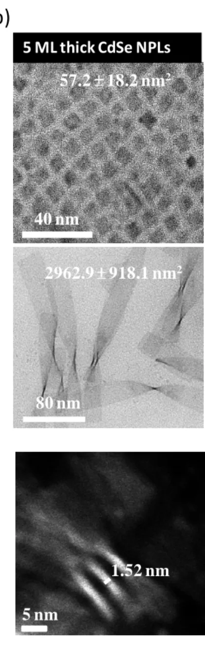 Figure 2.5. TEM images of (a) 4ML and (b) 5ML NPLs with both the small and large  lateral sizes, and their corresponding thicknesses