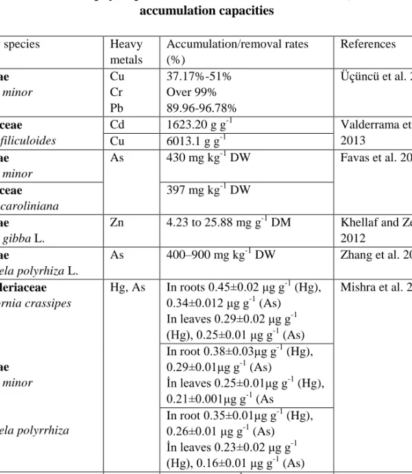 Tablo 4. Macrophyte species used for bioremediation studies, and their   accumulation capacities 
