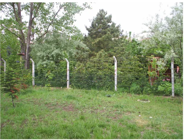 Figure 2d. Wired fence of Bilkent I. 