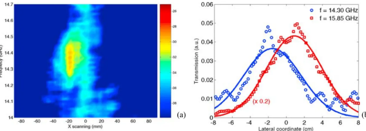 Fig. 3 (online colour at: www.pss-b.com)  (a) Frequency vs. lateral spatial distribution of the transmitted signal at  the CMM surface for 10° incidence