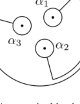 Figure 9 A canonical basis {α 1 , α 2 , α 3 }