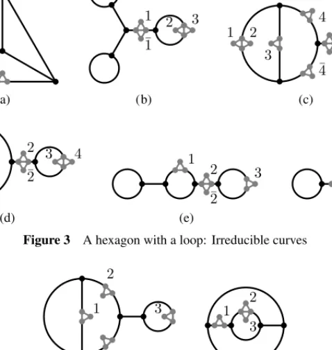 Figure 3 A hexagon with a loop: Irreducible curves