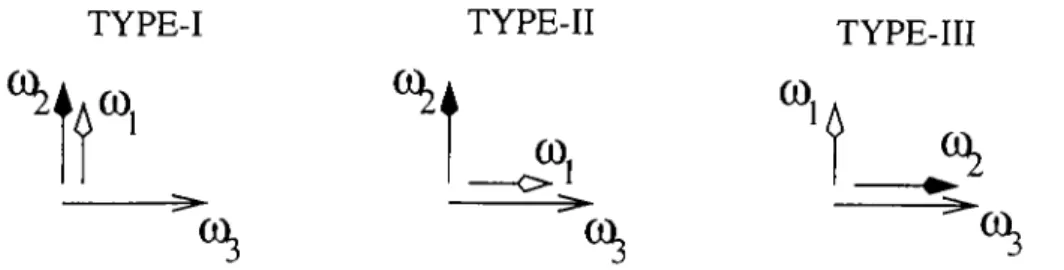 Figure  2 . 1 :  Polarization  geometries  lor  BPM  types.  The  fast  axis  is  liorizontal  and  the  slow  cixis  is  vertical.