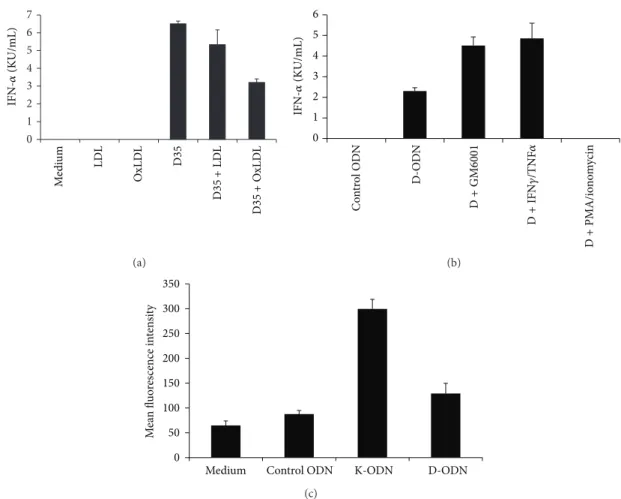 Figure 4: Oxidized LDL and recombinant IFN