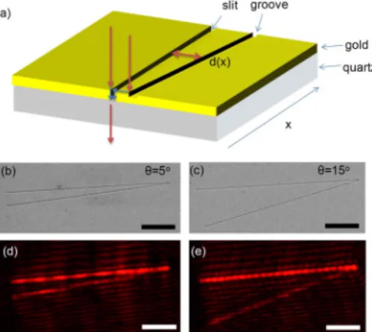 Fig. 2. (Color online) (a) Optical microscope images of the fringe pattern generated by plasmon interferometer with a tilting angle of 10°, integrated in a microfluidic device