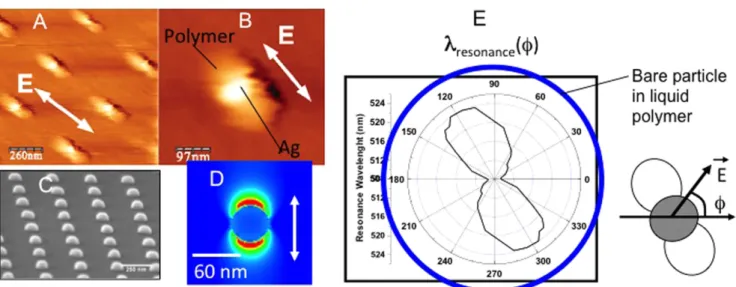 Figure 8. Structuring the surrounding environment by plasmonic photopolymerization (A) and (B) AFM image taken after procedure applied to silver hemispherical nanoparticles