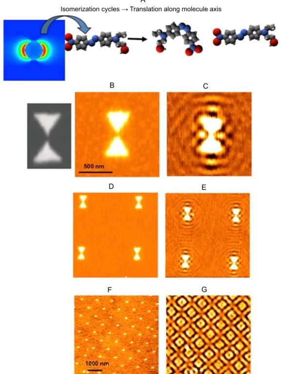 Figure 2. Near-ﬁeld photochemical imaging of noble metal nanostructures using PMMA-DR1