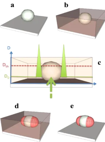 Figure 5. Scheme of the approach. (a) Metal NP deposited on a functionalized glass substrate