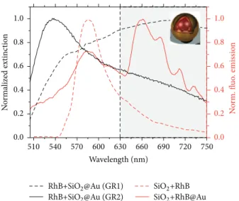 Figure 13: Time-resolved fluorescence spectroscopy results of RhB molecules, doped in silica (red dots) and embedded in silica core of nanoshells (black squares), together