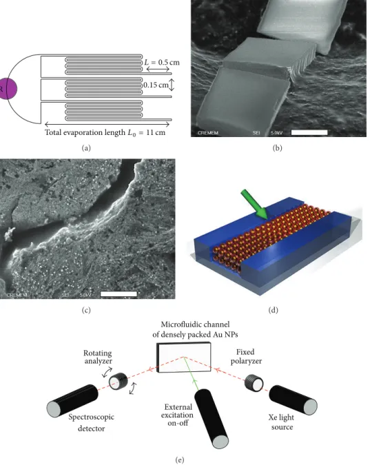 Figure 15: (a) Sketch of the designed chip used as mold into PDMS. Purple area R represents the reservoir of NP solutions, whereas final part 