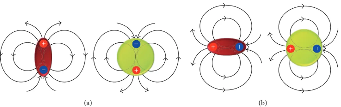 Figure 1: (a) Parallel (tangential) and (b) perpendicular (radial) orientation of chromophore dipole moment to the surface of spherical NP leading to the suppression or enhancement of the radiative decay rate of the exciton, respectively.