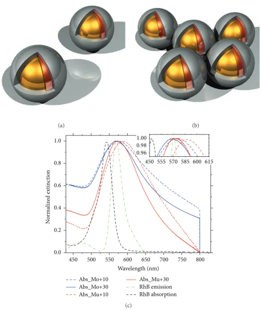 Figure 7: Sketches of the active (a) monomers and (b) multimers. (c) Extinction spectra of active monomers and multimers, including absorption and emission spectra of RhB dye molecules