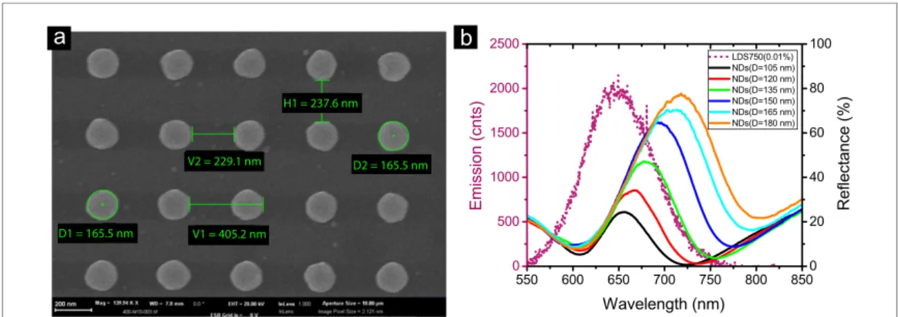 Figure 1. (a) The SEM image of the fabricated NDs by EBL method. (b) The reﬂectance spectra of NDs with different diameters in the presence of PMMA