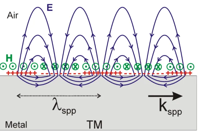 Figure 3.1 TM case, electric and magnetic fields distribution of SPP propagating on  metal dielectric interface