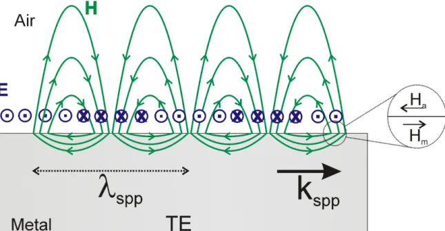 Figure 3.2 TE case, electric and magnetic fields distribution of SPP propagating on  metal dielectric interface