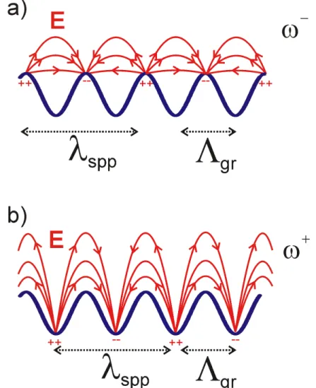 Figure 3.6 Schematic representations of the electric field distributions of SPPs localized  on the grating
