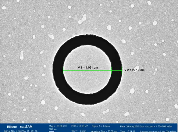 Figure 3.1: Scanning electron microscopy image of ring-shaped hole on silver film.
