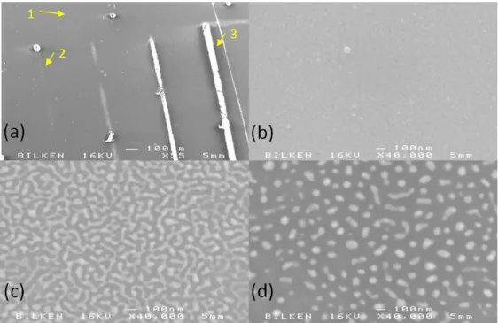 Figure 4. 2 : SEM images of 12 nm Ag/SiO 2  processed by cw Ar +  laser operating at 488  nm  with  7.73  kW/cm 2   power  density