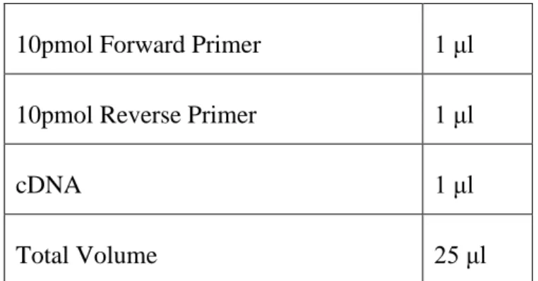 Table 2.8: PCR reaction conditions. 